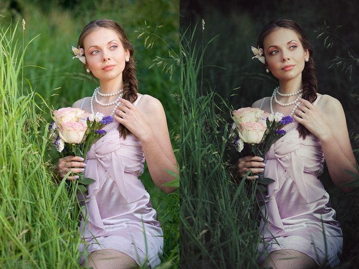 Beyond Auto: Unlocking the Power of White Balance in Your Photography